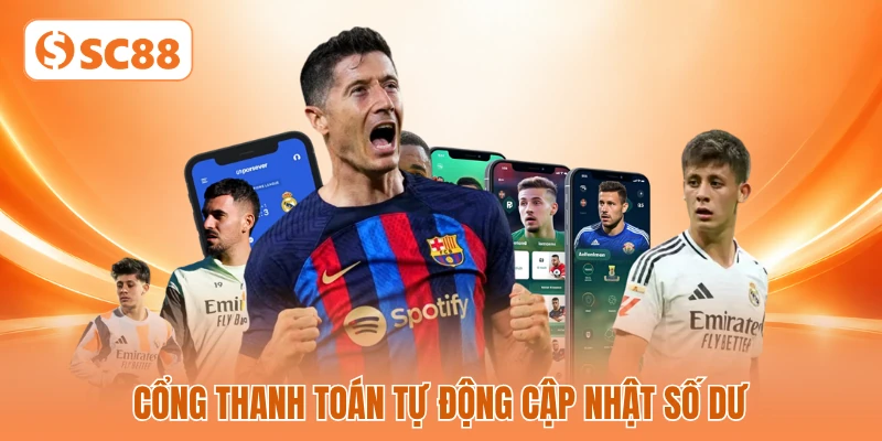 Cổng thanh toán tự động cập nhật số dư